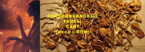 apvp Аркадак