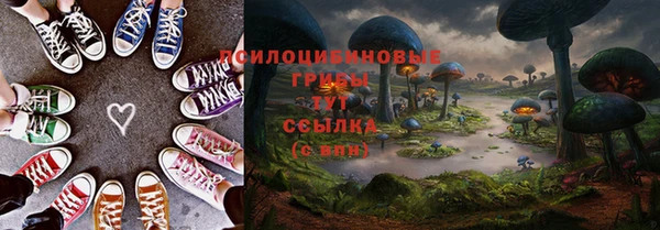 apvp Арсеньев