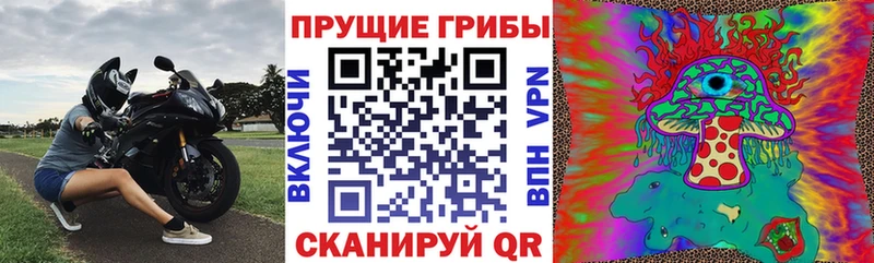 Псилоцибиновые грибы прущие грибы  Магадан 