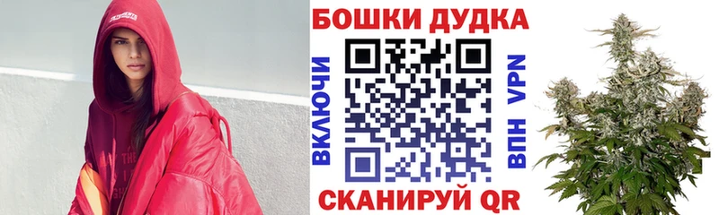 Бошки марихуана индика  магазин продажи   Магадан 
